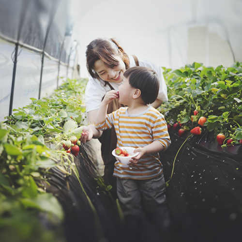 A mother and son share freshly picked strawberies