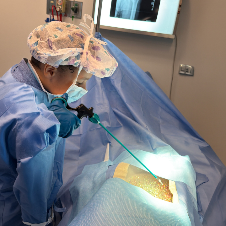 An elementary school student uses a laparoscopic grasper to carefully remove toy pieces during 'Dinosaur Surgery'.