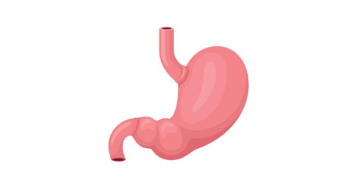 8. Enfermedad por reflujo gastroesofágico: se ha asociado un mayor riesgo de ERGE, donde los ácidos del estómago se filtran hacia el esófago, con la obesidad.