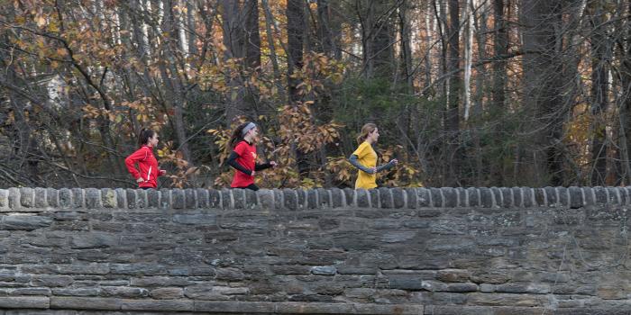 Group of young women jogging along wooded trail