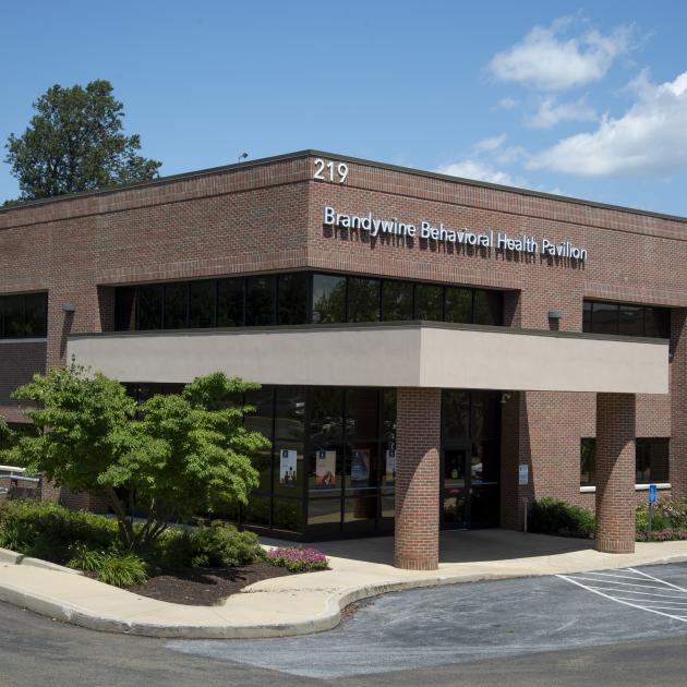 brandywine behavioral health