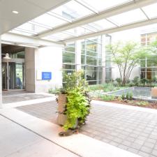 mcglinn healing area